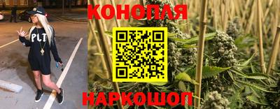 spice Севастополь