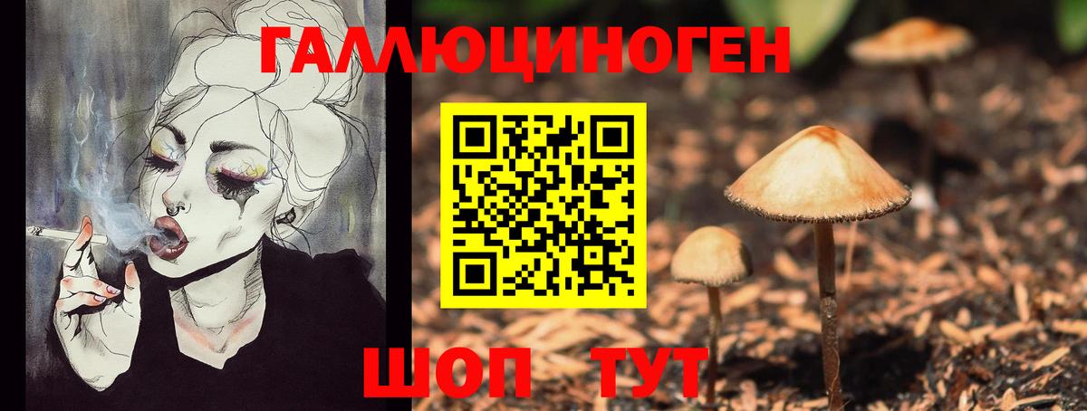 Псилоцибиновые грибы MAGIC MUSHROOMS  Вход с VPN  Мурино  Галлюциногенные грибы ЛСД 
